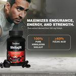 Himalaya Shilajit Capsule