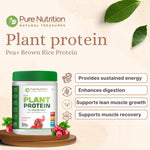 Pure Nutrition Plant Protein Powder Cranberry Crush, 500g, for Men, Women With Pea & Brown Rice Protein with Omega3, Digestive Enzymes & Turmeric | Plant-based, Vegan Supplement for Muscle Growth & Strength | No Artificial Sweeteners