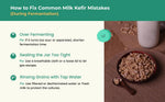 Kelifta by Feelgood Kefir® - Dehydrated Premium Large Milk Kefir Grains (15-20g on Rehydration) | 55+ Live Active Strains | Reusable Forever