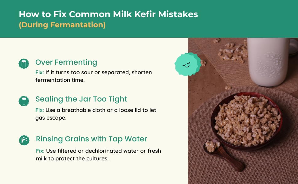 Kelifta by Feelgood Kefir® - Dehydrated Premium Large Milk Kefir Grains (15-20g on Rehydration) | 55+ Live Active Strains | Reusable Forever