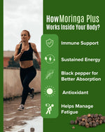 Vedia Moringa Plus (Natural Superfood) Capsules | Pure Moringa Leaf Extract for Energy, Immunity & Joint Support (60 Capsules)