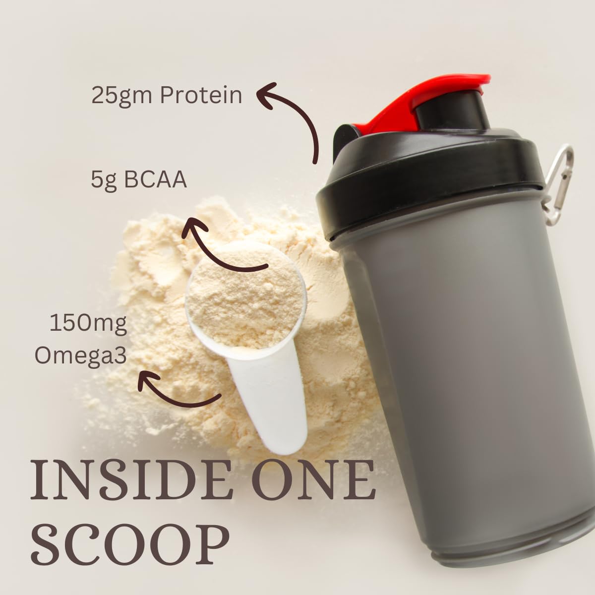 Pure Nutrition Plant Protein Powder Cranberry Crush, 500g, for Men, Women With Pea & Brown Rice Protein with Omega3, Digestive Enzymes & Turmeric | Plant-based, Vegan Supplement for Muscle Growth & Strength | No Artificial Sweeteners