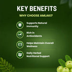 Pure Nutrition Amalaki Tablets | 250mg 90 Tabs