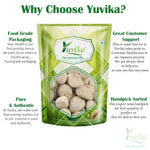 YUVIKA Ber Pathar - Hajrul Yahood - Sange Yahood - Bhasma Badarashma - Fossil Encrinite (800 Grams)