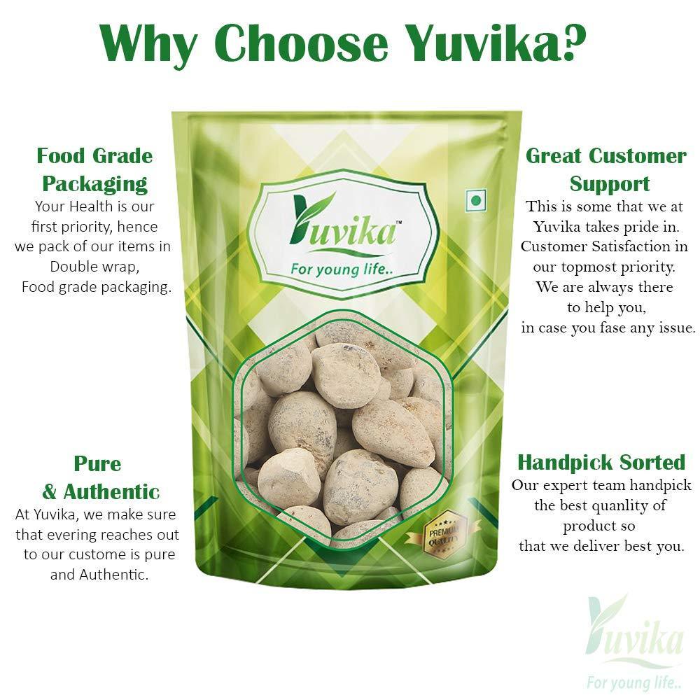 YUVIKA Ber Pathar - Hajrul Yahood - Sange Yahood - Bhasma Badarashma - Fossil Encrinite (800 Grams)