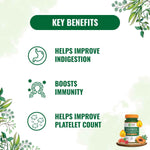 Pure Nutrition Papaya Fruit & Leaf Extract 600mg Veg Capsule