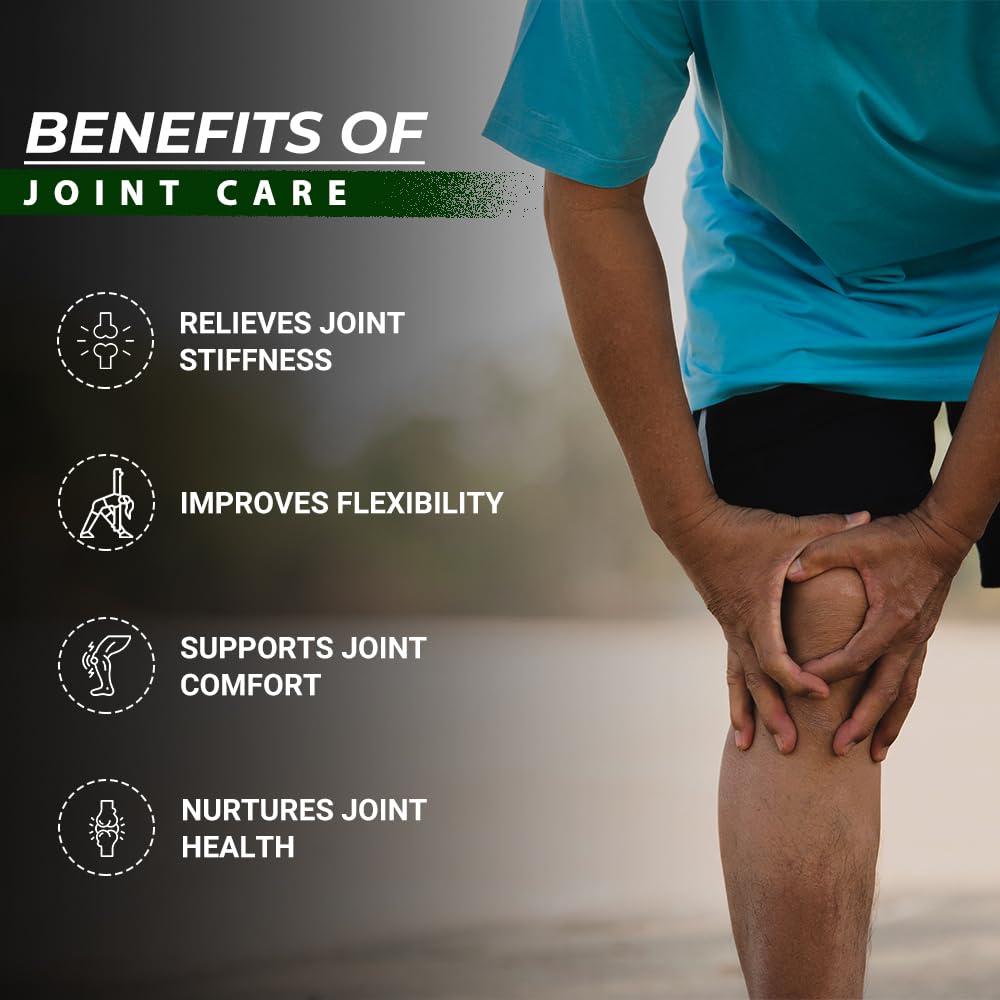 Divya Himalayan Plant Based Organics Joint Care Tablet - 60 Tablets