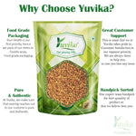 YUVIKA Alfa Seeds - Alfalfa Seeds