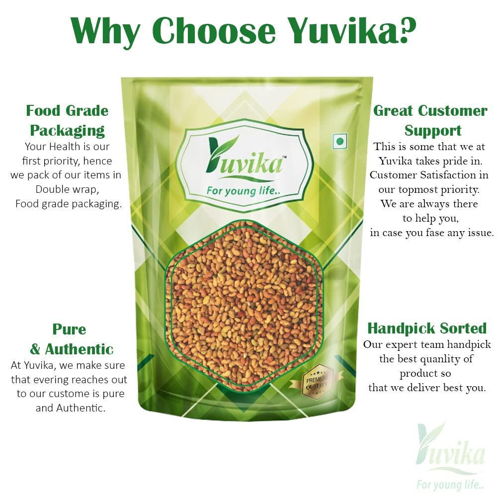 YUVIKA Alfa Seeds - Alfalfa Seeds