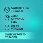 Royal Swag Ayurvedic Herbal Wellness Sticks Mint Flavour - 100% Tobacco & Nicotine Free Sticks