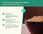 Kelifta by Feelgood Kefir®- Dehydrated Large Sized Water Kefir Grains | 50g on Rehydration | Includes Strainer & Spoon | Reusable, Multiplying | Kefir Probiotic