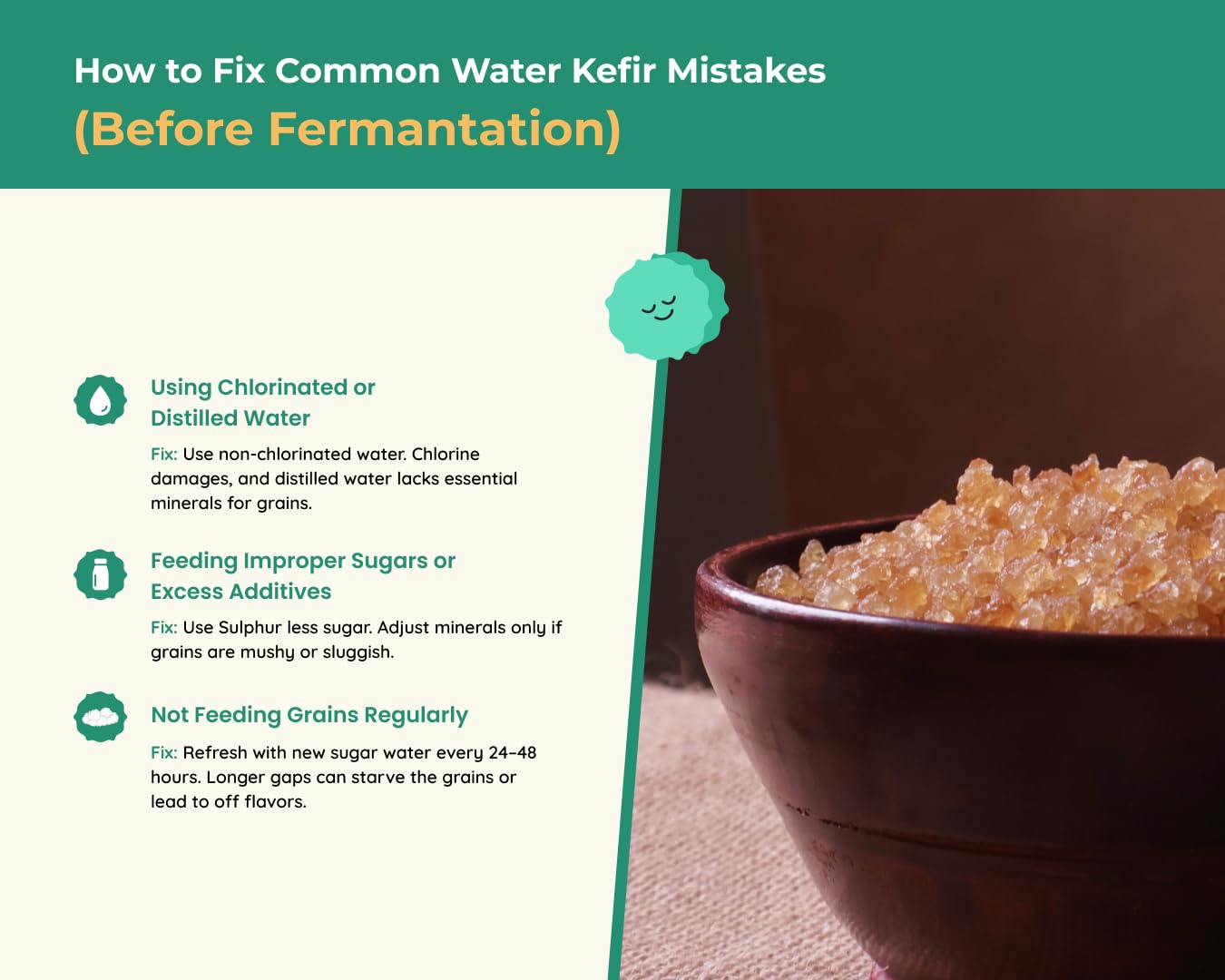 Kelifta by Feelgood Kefir®- Dehydrated Large Sized Water Kefir Grains | 50g on Rehydration | Includes Strainer & Spoon | Reusable, Multiplying | Kefir Probiotic