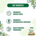 Pure Nutrition Pure Vegan Protein Banana Strawberry - 1kg