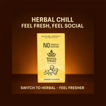 Royal Swag Ayurvedic Herbal Wellness Sticks Ginger Flavour - 100% Tobacco & Nicotine Free (10 Sticks)