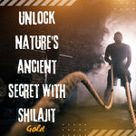 Pure Nutrition Shilajit Gold Resin with Ashwagandha & Natural Ayurvedic Ingredients | Supports Energy, Stamina & Well-Being - 20g