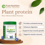 Pure Nutrition Plant Protein Powder for Men, Women - Berry Blast (500g) , With Pea & Brown Rice Protein with Omega3, Digestive Enzymes & Turmeric | Plant-based, Vegan Supplement for Muscle Growth & Strength | No Artificial Sweeteners