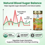 Organic Wellness Gurmaar Gymnema Sylvestre 100 grams Tin Pack