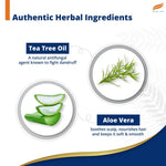 Himalaya Anti-Dandruff Tea Tree Shampoo - 80ml