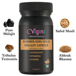 Vigini Hammer King Gold Shilajit Capsule - 30 Capsules