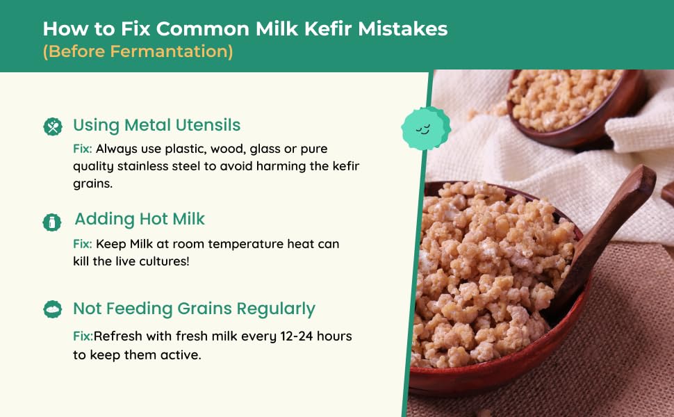 Kelifta by Feelgood Kefir® - Dehydrated Premium Large Milk Kefir Grains (15-20g on Rehydration) | 55+ Live Active Strains | Reusable Forever
