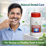 Paartha Dant-Hara Ayurvedic Tooth Powder – Herbal Dental Care Powder for Teeth & Gum Hygiene, Fresh Breath & Oral Care – 40g