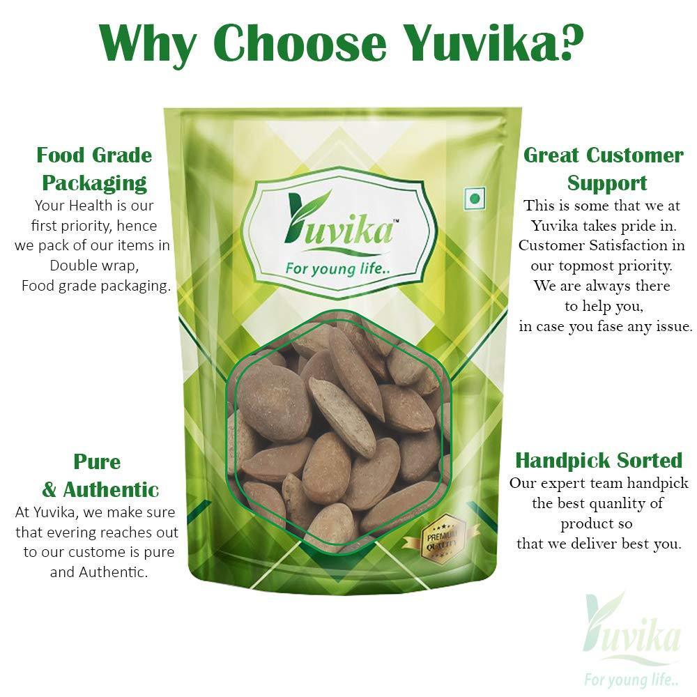 YUVIKA Beej Kanchan - Michelia Champaca