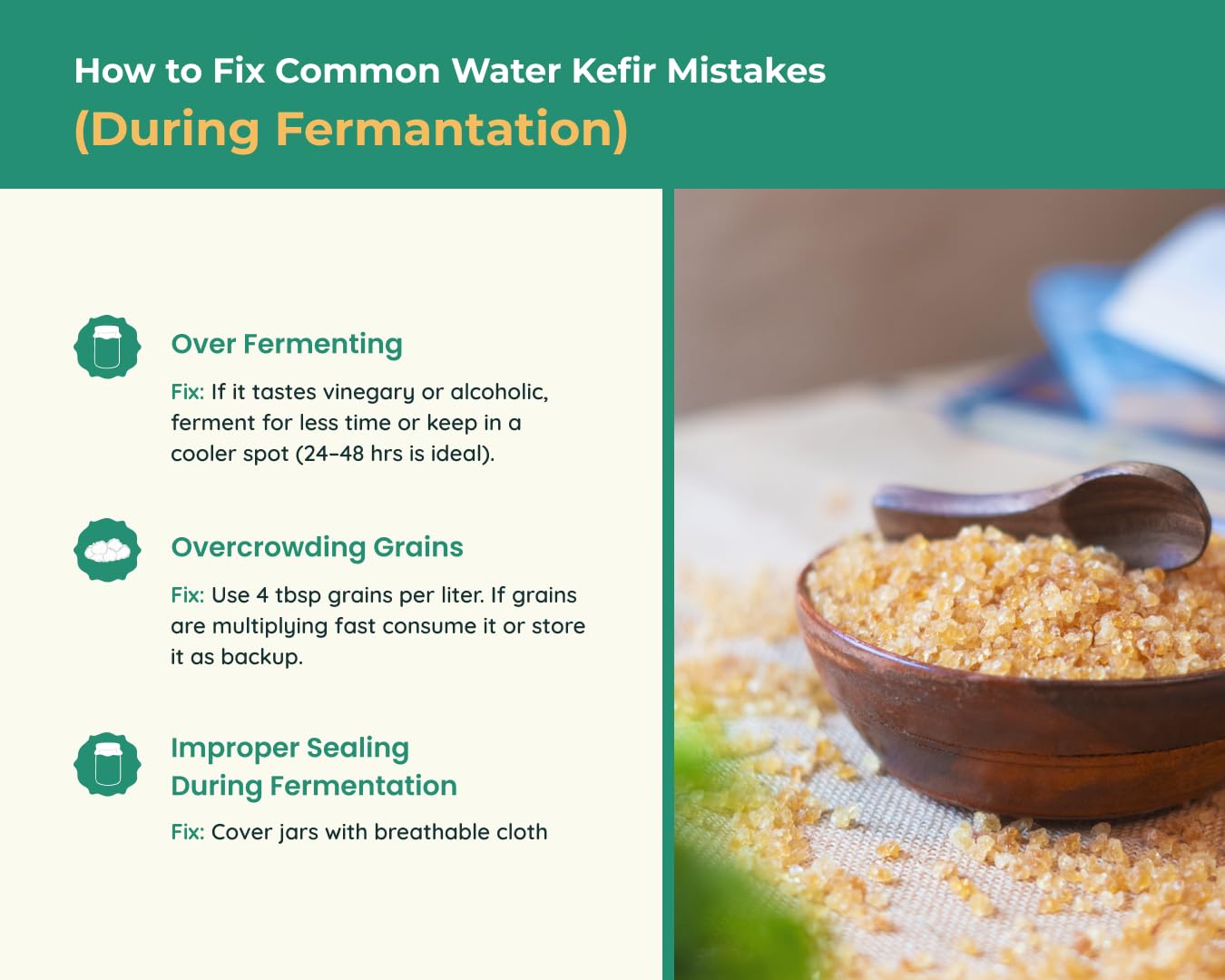 Kelifta by Feelgood Kefir®- Dehydrated Large Sized Water Kefir Grains | 50g on Rehydration | Includes Strainer & Spoon | Reusable, Multiplying | Kefir Probiotic