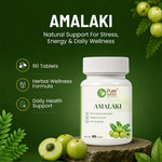Pure Nutrition Amalaki Tablets | 250mg 90 Tabs