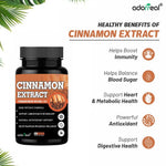 Adorreal Cinnamon Extract Capsules (60 Capsules) | Supports Healthy Blood Sugar Levels, Digestion & Metabolism