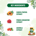 Pure Nutrition Papaya Fruit & Leaf Extract 600mg Veg Capsule