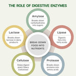 Pure Nutrition Digestive Enzymes 90 Capsules | Digestive Health & Nutrient Absorption Support