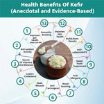 Kelifta by Feelgood Kefir® - Combo of LIVE Large Sized Milk Kefir Grains (15 Grams) & Water Kefir Grains (50 Grams) | Lifetime Reusable & Multiplying