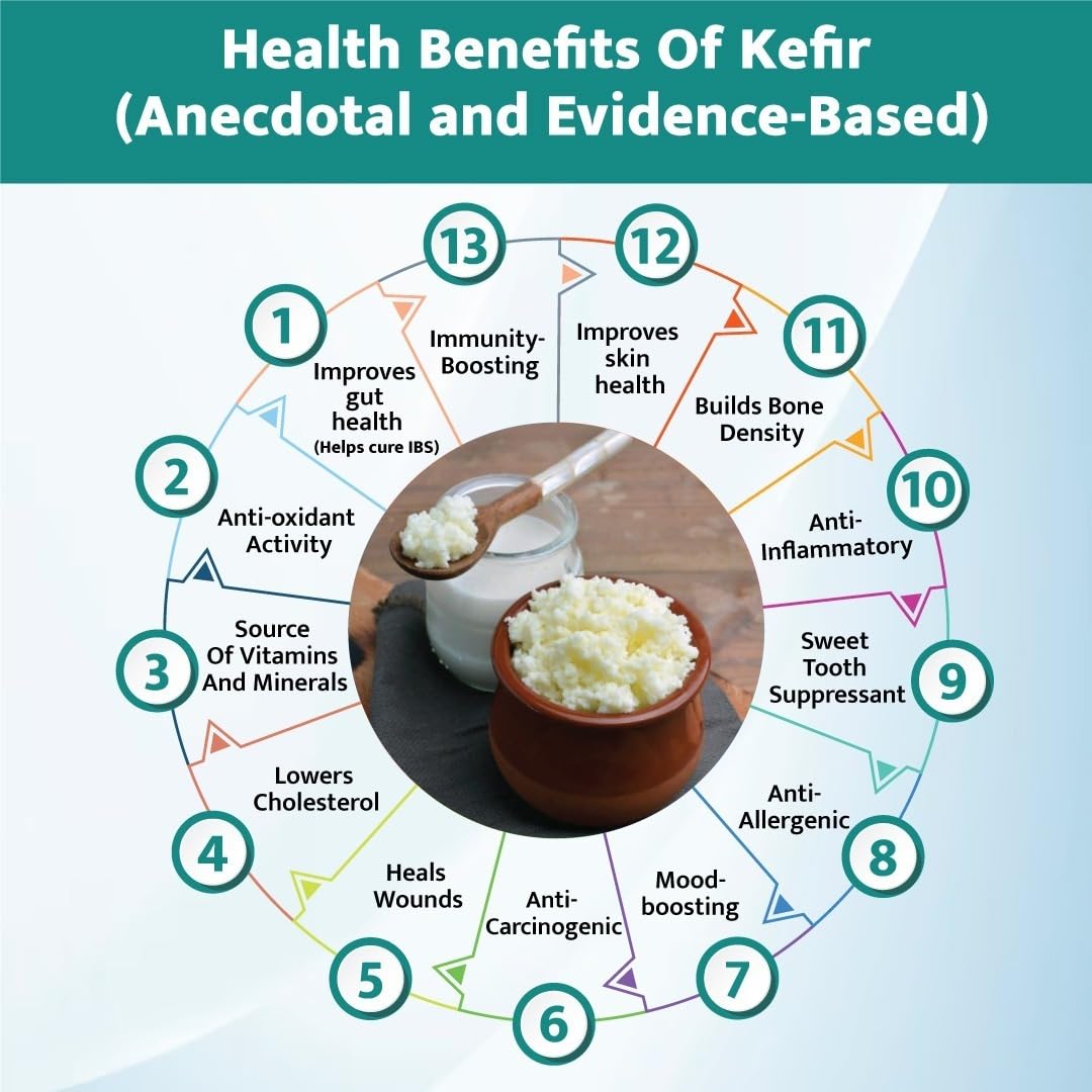 Kelifta by Feelgood Kefir® - Combo of LIVE Large Sized Milk Kefir Grains (15 Grams) & Water Kefir Grains (50 Grams) | Lifetime Reusable & Multiplying