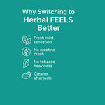 Royal Swag Ayurvedic Herbal Wellness Sticks Mint Flavour - 100% Tobacco & Nicotine Free Sticks
