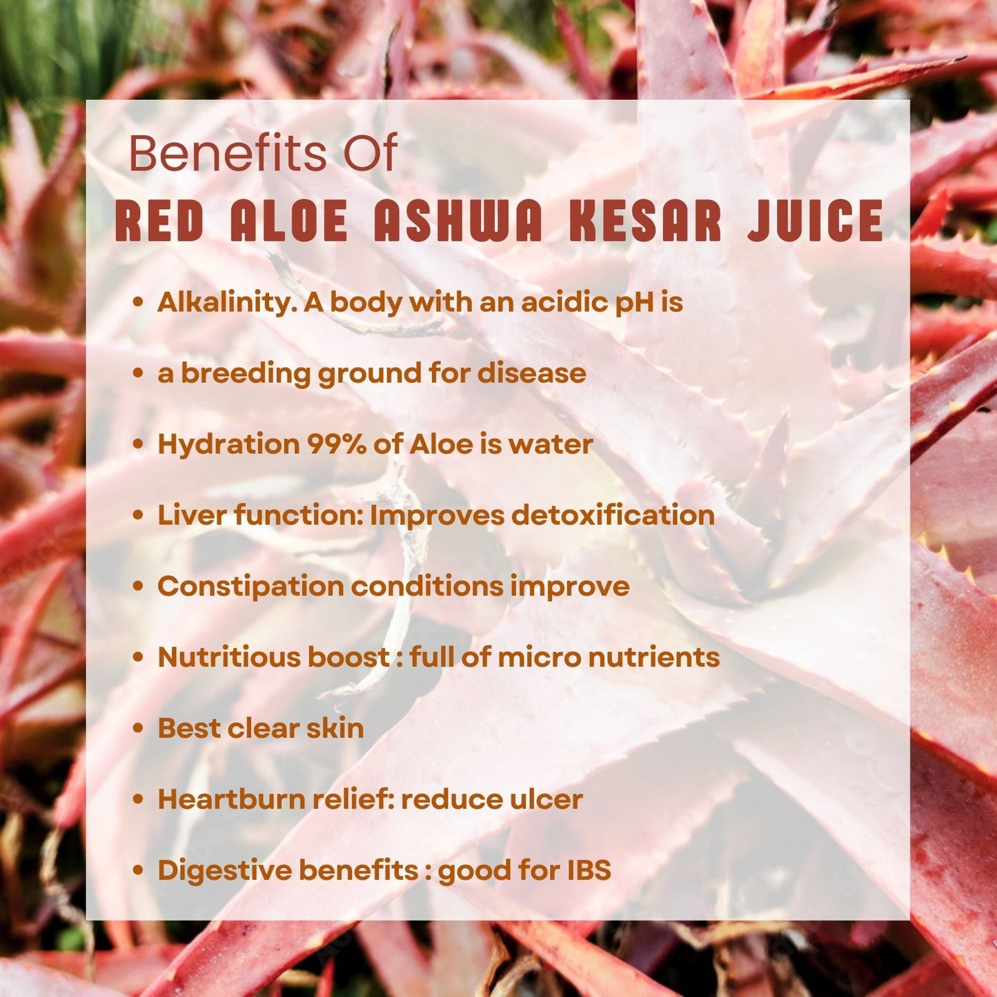 Zaynura Ayurveda Red Aloe Vera Ashwa Kesar Juice | Premium Ayurvedic Vitality & Immunity Booster | Natural Herbal Wellness Drink