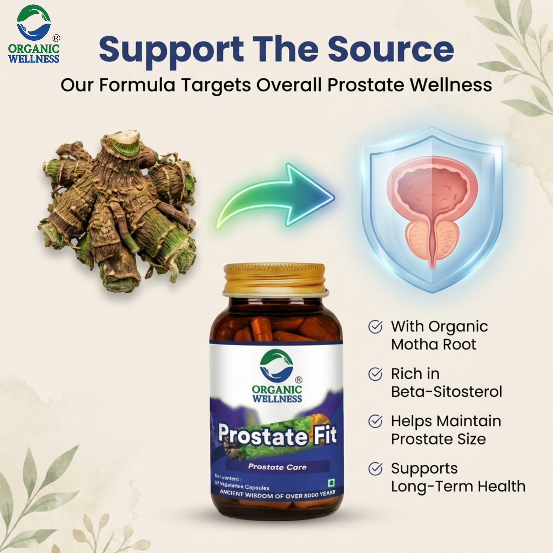 Organic Wellness Prostate-Fit Capsules - 90 Capsules