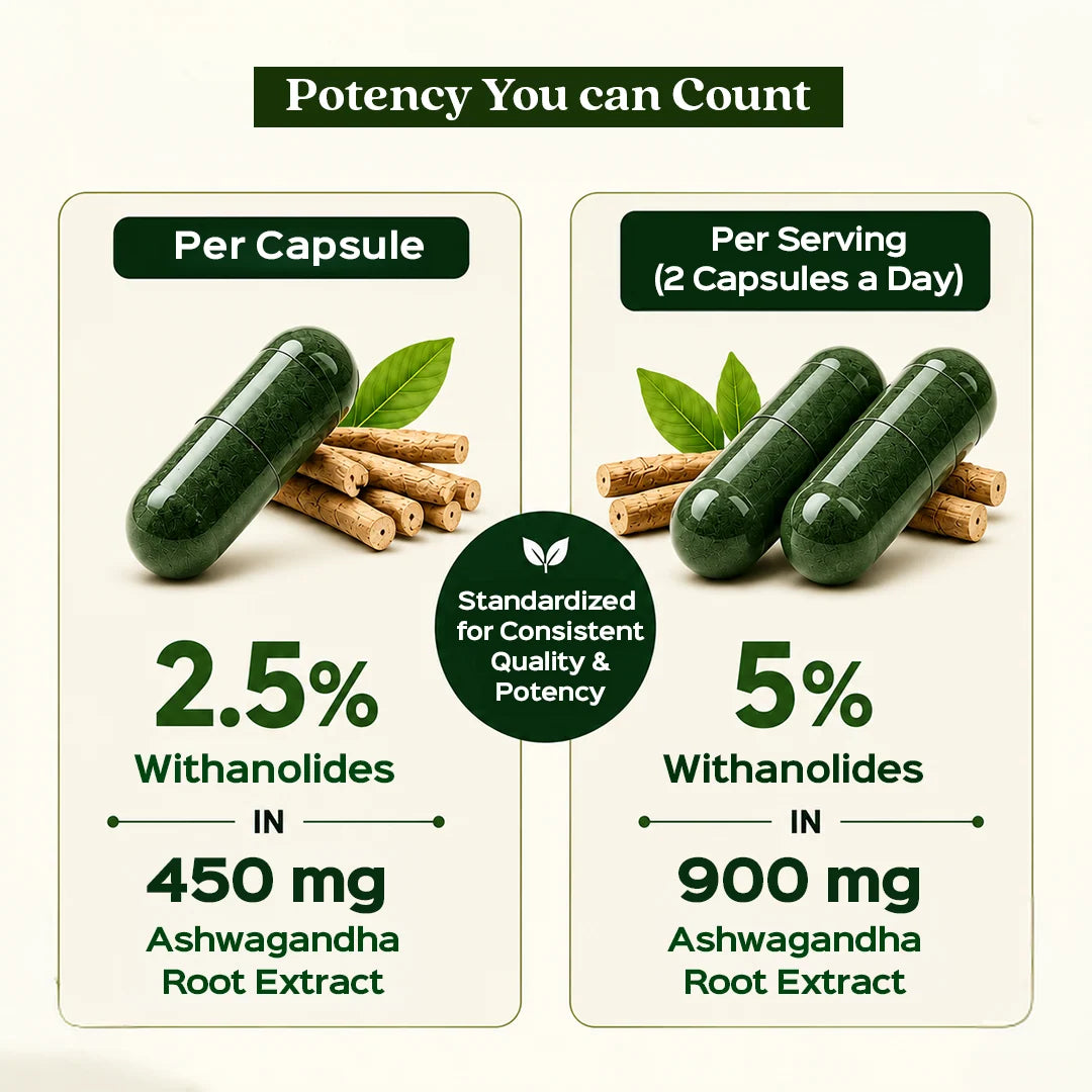 Bixa Botanical Ashwagandha Extract (60 Veg Capsules | 450mg) | Standardized to 2.5% Withanolides for Stress Relief, Stamina & Immune Support`