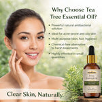 Kayee Ayurveda Tea Tree Essential Oil for Face & Hair Care, Aromatherapy & Diffuser, Herbal Aroma Oil for Skin Care, Scalp Care, Yoga, Meditation, Massage & Home Fragrance | 15 ml