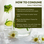 WellWith Diabetes Care Kit (3-in-1 Holistic Glucose & Metabolic Support)