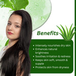 Kayee Ayurveda Aloe Vera Shampoo for Dry & Damaged Hair | Herbal Shampoo with Aloe Vera for Scalp Cleansing, Hair Nourishment, Moisturization, Softness, Smoothness & Healthy-Looking Shine | 210 ml