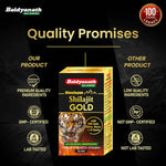 Baidyanath Himalayan Shilajit Gold - 20 Capsules