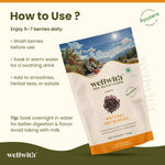 WellWith Sea Buckthorn Natural Dry Berries (100g)