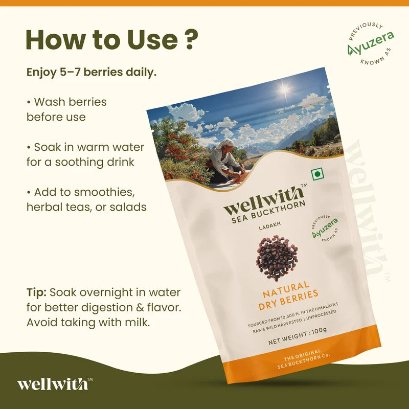 WellWith Sea Buckthorn Natural Dry Berries (100g)