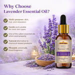Kayee Ayurveda Lavender Essential Oil for Aromatherapy, Diffuser & Massage | Pure Lavender Aroma Oil for Relaxation, Meditation, Spa & Home Fragrance | Floral Essential Oil for Skincare, Hair Care & Personal Wellness | 15 ml