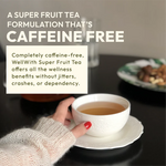 WellWith Sea Buckthorn Super Fruit Tea (20 Infusion Tea Bags, 2g Each)