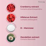 Zeroharm Sciences Holo UTI Nano Tablet - 60 Tablets