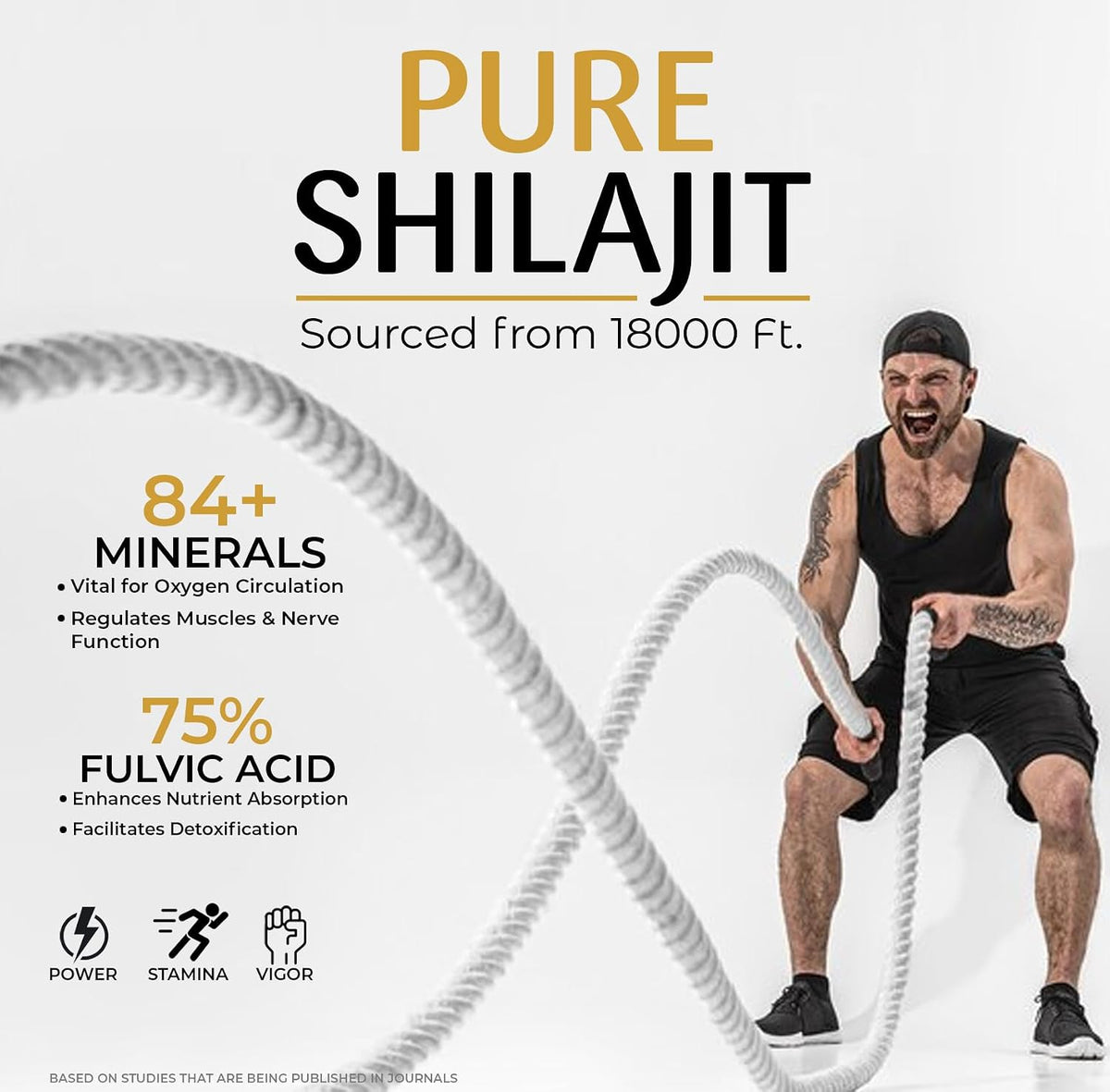 Arogyasiddhi Pure Himalayan Shilajit Resin | 75% Fulvic Acid | Lab Tested Quality Guaranteed | 20 g