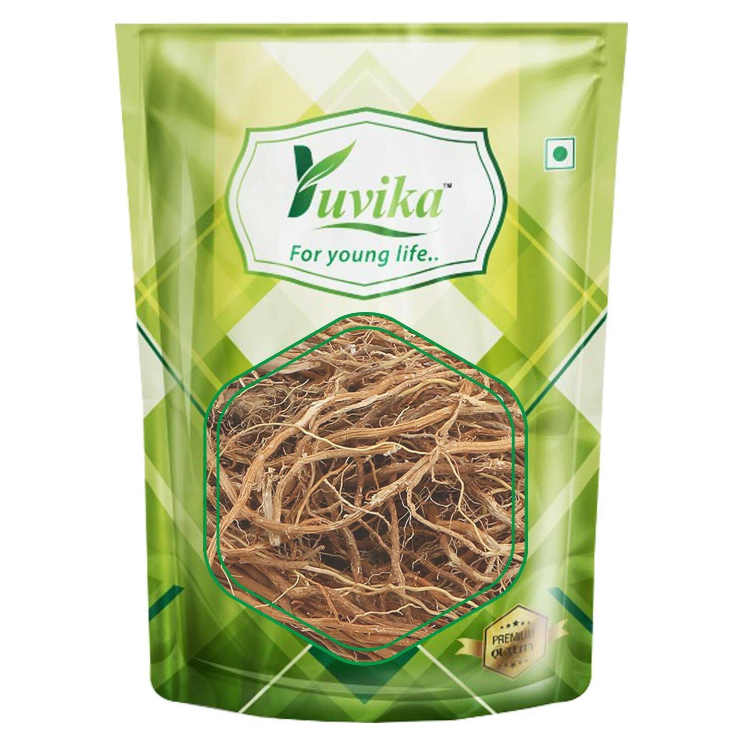 YUVIKA Khus Root - Vetiveria Zizanioides (800 Grams)