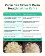 Kelifta by Feelgood Kefir® - Live Large Sized Water Kefir Grains (50g) | IIncludes Strainer & Spoon | Lifetime Support | Kefir Probiotic