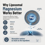 Pure Nutrition Liposomal Magnesium with Vitamin D3 & B12, 60 Tablets | Bone, Muscle & Energy Support